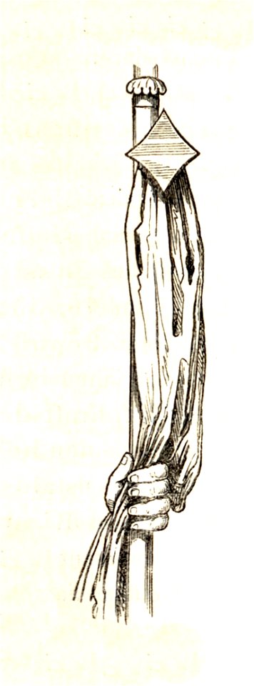 MZK 002 Nr 10 Bischofstab - lithurgisch-symbolische Bedeutung - Fig. 06 Abb. aus 1531