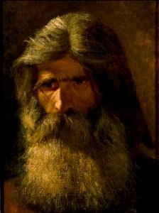 Mårten Eskil Winge - Portrait of a Bearded Man - A I 749 - Finnish National Gallery
