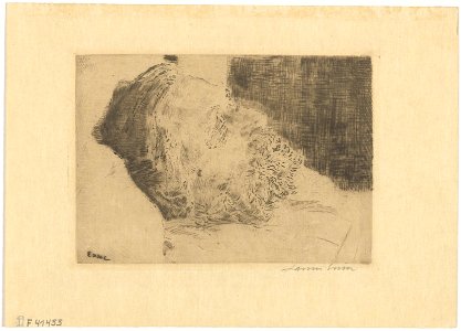 My Dead Father, print by James Ensor, 1888, Prints Department, Royal Library of Belgium, F. 41455
