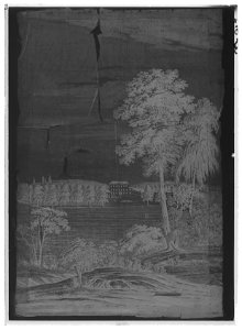 Målning till eldskärm, Karl XIV Johan - Livrustkammaren - 1877-negative