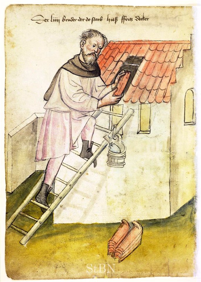 Mendel I 024 v