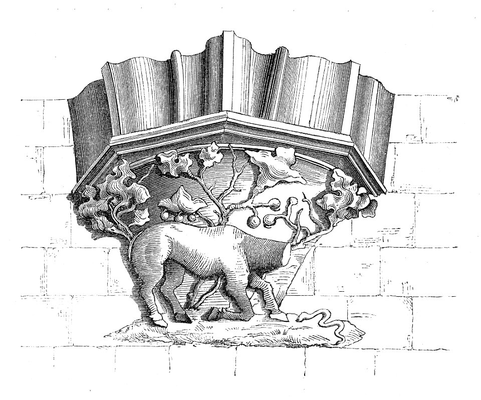 MZK 01 1856 Klosterkirche Neuberg - Konsole Hirsch