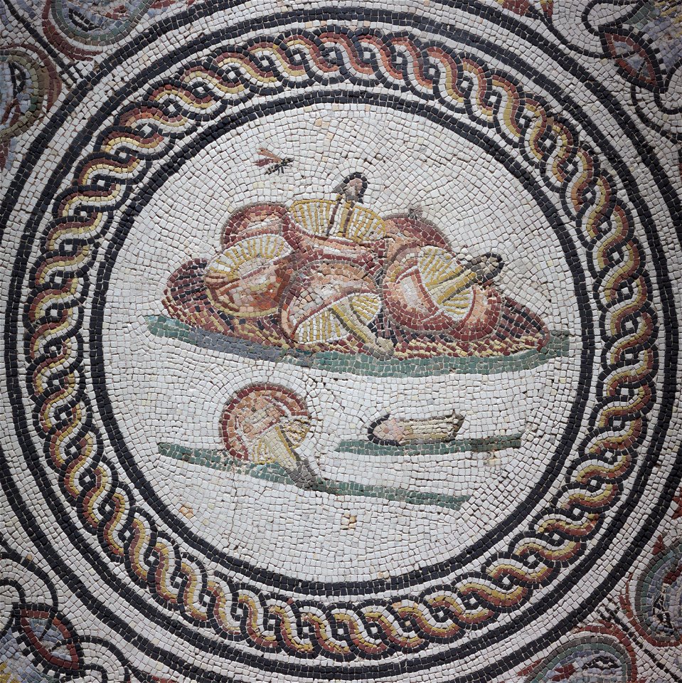 Médaillon aux champignons de la mosaïque des Xenia MBALyon 2018