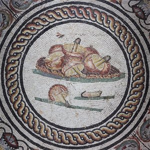 Médaillon aux champignons de la mosaïque des Xenia MBALyon 2018
