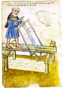 Mendel I 065 v