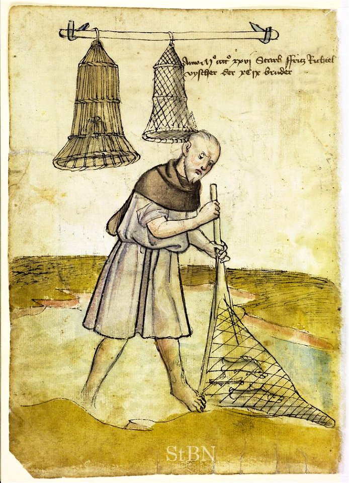 Mendel I 047 v