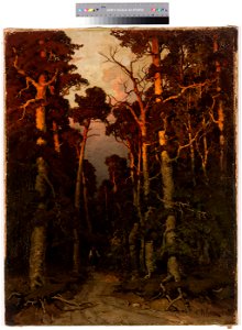 Männimetsa motiiv, Julius Sergius von Klever, TKM TR 8085 M 1419