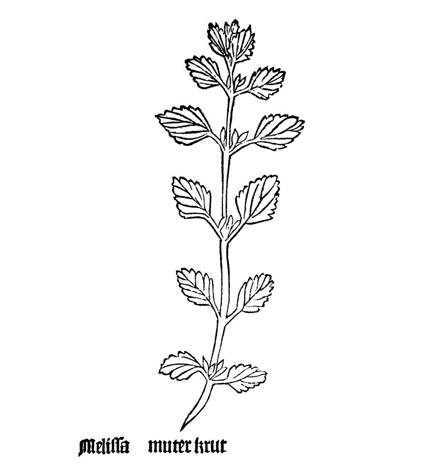 Melissa Gart 1485