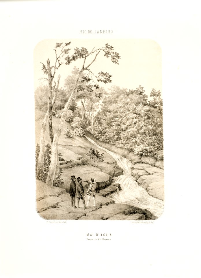 Mãi d'agua (morro de Sta. Thereza), da Coleção Brasiliana Iconográfica