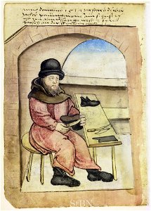 Mendel I 133 v