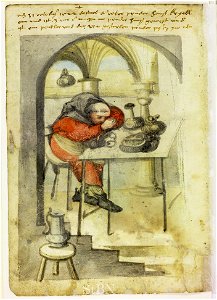 Mendel I 137 v