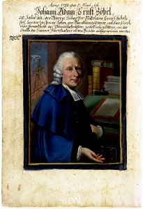 Mendel II 293 v