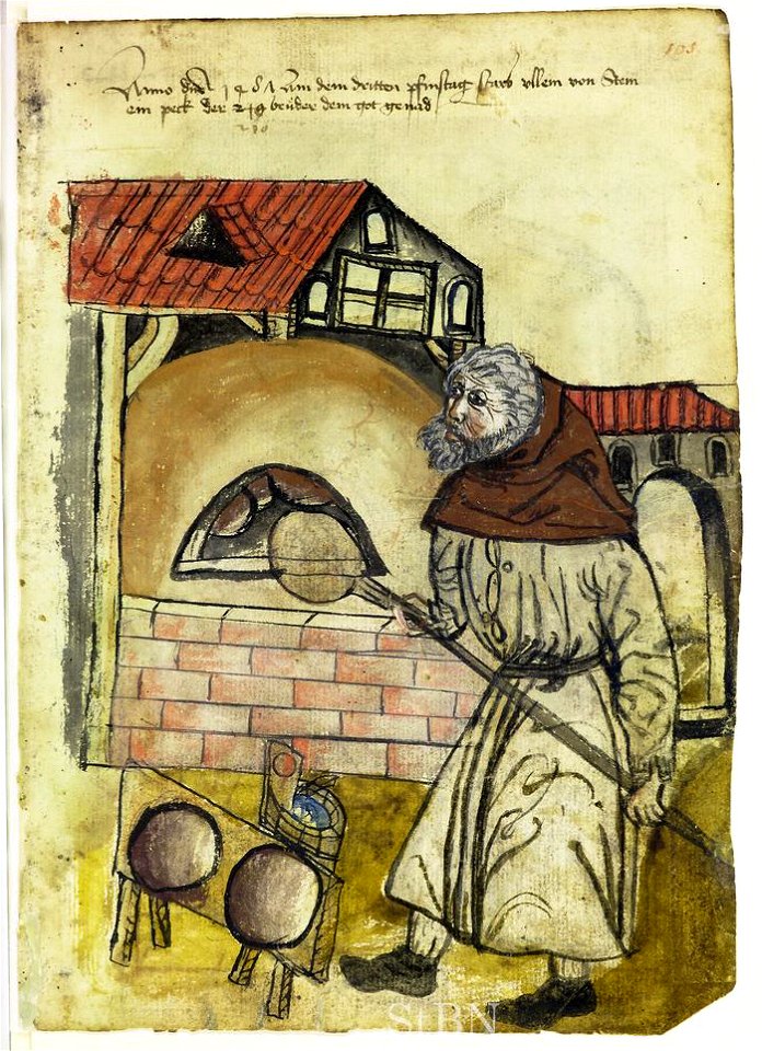 Mendel I 105 r