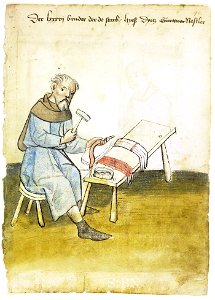 Mendel I 040 r