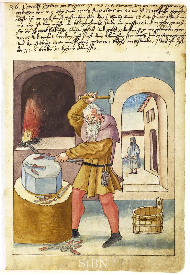 Mendel II 017 r