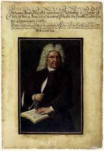 Mendel II 241 r
