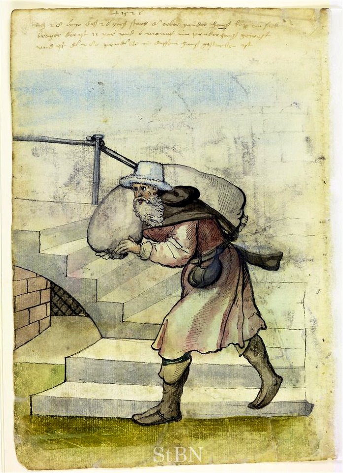 Mendel I 141 v
