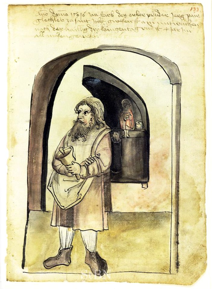 Mendel I 133 r