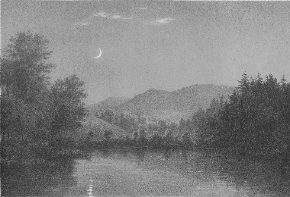 Menke - Donoperteich