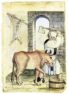Mendel I 147 r