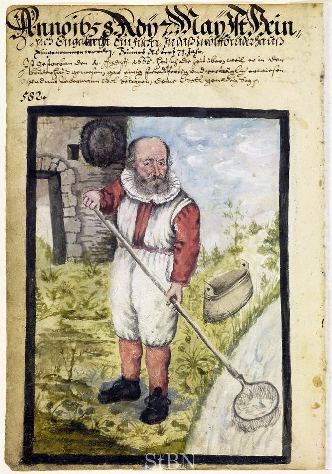 Mendel II 136 v