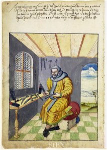 Mendel II 021 v