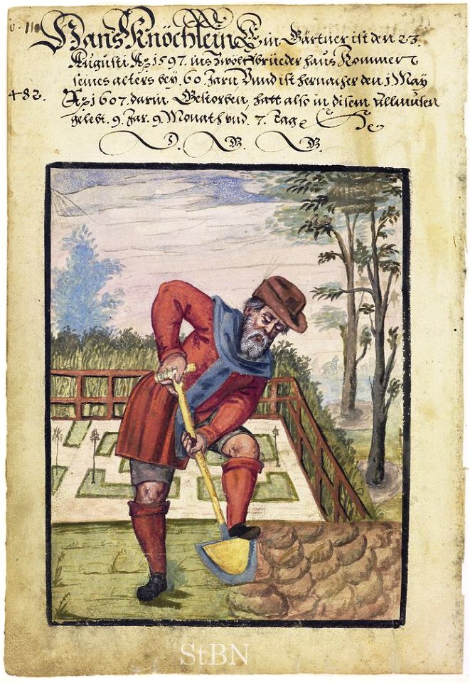 Mendel II 073 v