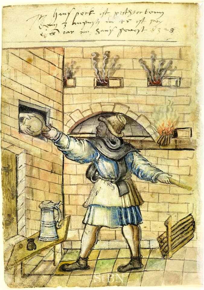 Mendel I 165 v