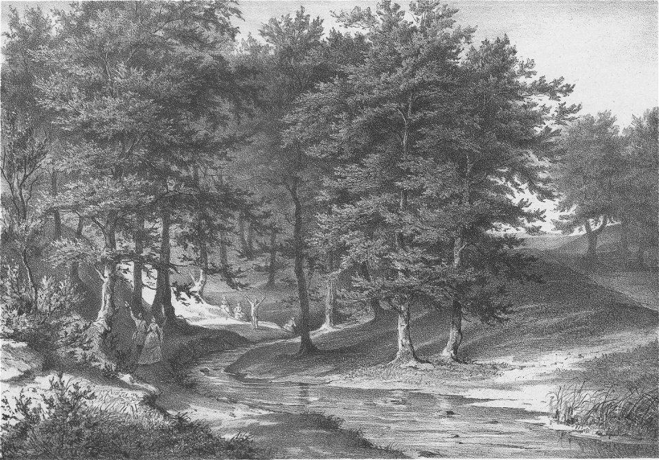 Menke - Berlebecke