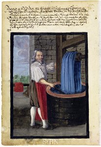 Mendel II 148 v