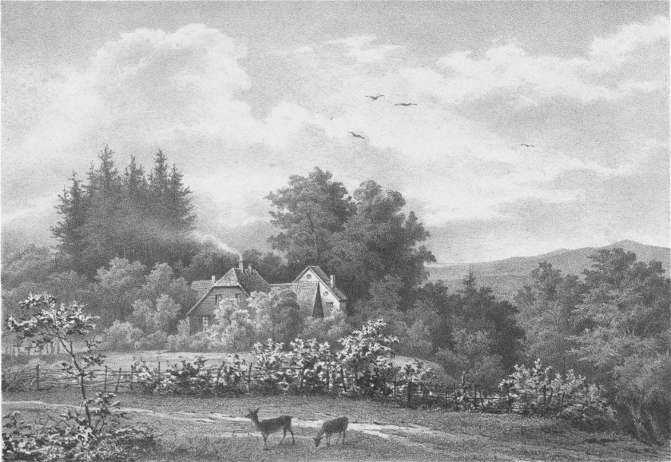 Menke - Hartröhren