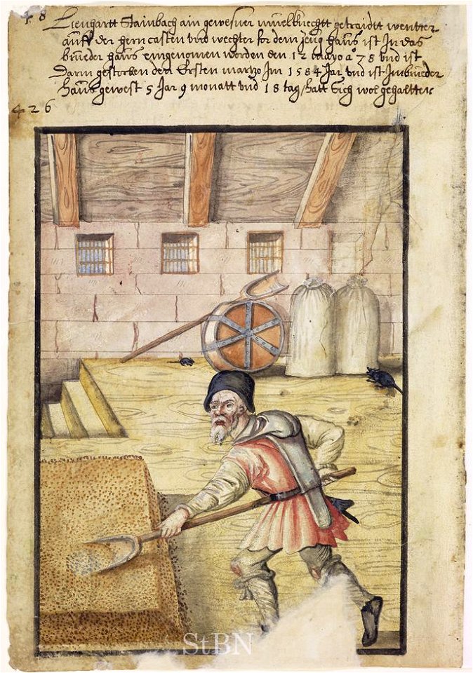 Mendel II 042 v