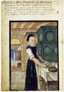 Mendel II 113 v