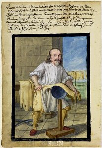 Mendel II 156 v