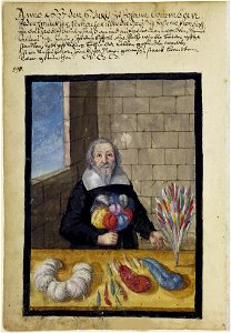 Mendel II 151 v