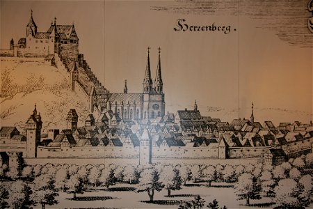 Merianstich Herrenberg