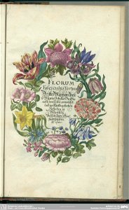 Merian-neues-blumenbuch-band3.titel