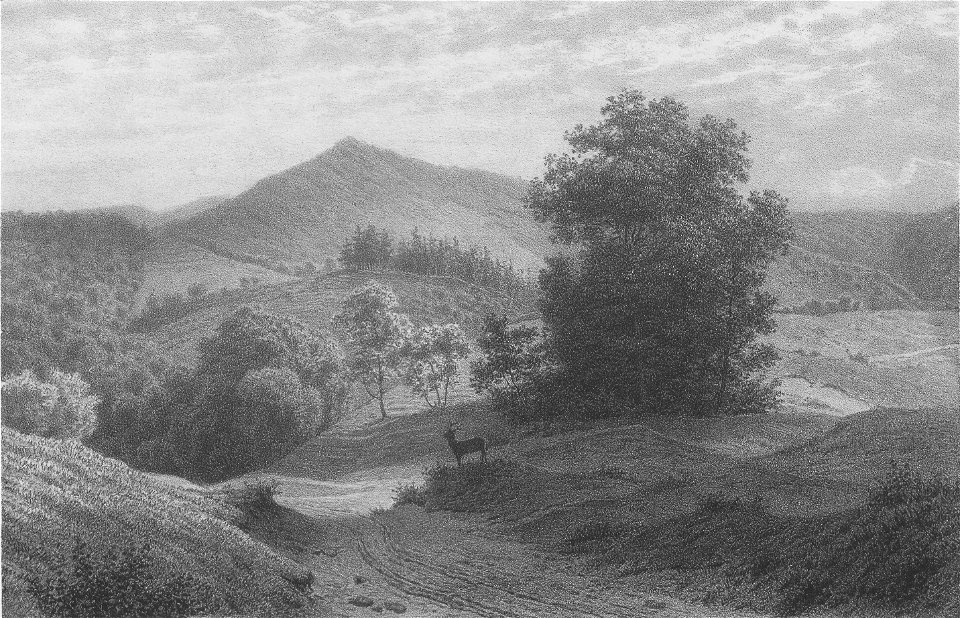 Menke - Berlebecker Thal und Falkenberg