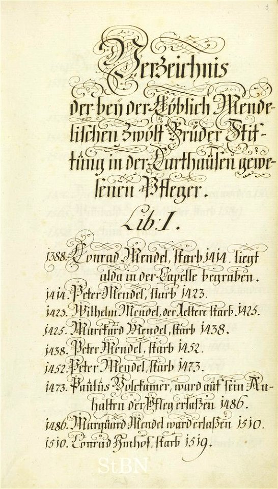 Mendel III 003 r