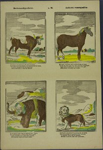 Merkwaardige dieren-Catchpenny print-Borms 0057