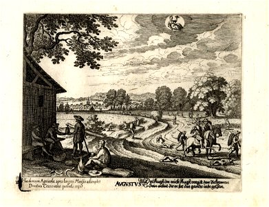 Merian-Aubry Monatsbilder G 1551 I 08 August