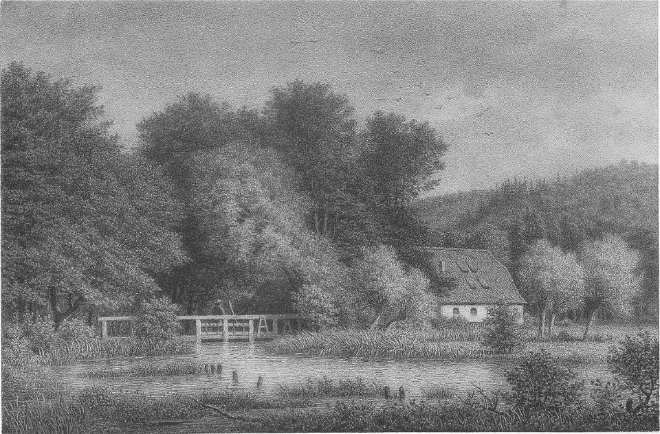 Menke-Inselwiese