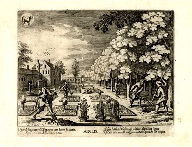Merian-Aubry Monatsbilder G 1551 I 04 April