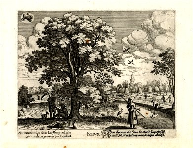 Merian-Aubry Monatsbilder G 1551 I 07 Juli