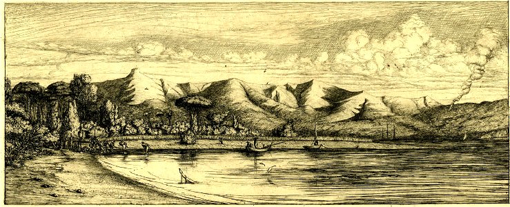 Meryon - Nouvelle Zélande, presqu'île de Banks, Pointe dite des Charbonniers, à Akaroa, pêche à la Seine, 1865,0114.130