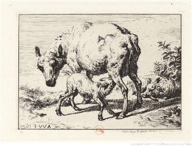 Meryon - La brebis et les deux agneaux, 2ème état, btv1b55001090r