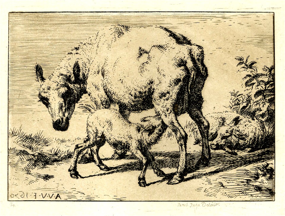 Meryon - La brebis et les deux agneaux, 1870,1210.690