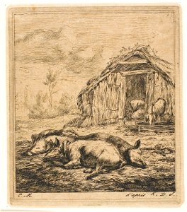 Meryon - Three Pigs Lying in Front of a Shed, 1909.174