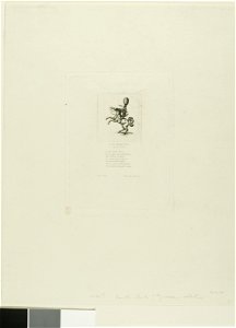 Meryon - Little Prince Dito, 1917.733