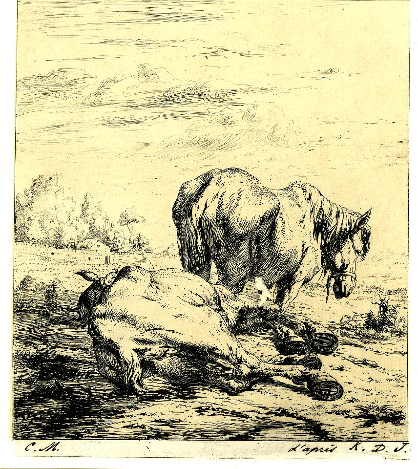 Meryon - Les deux chevaux, 1865,0114.121